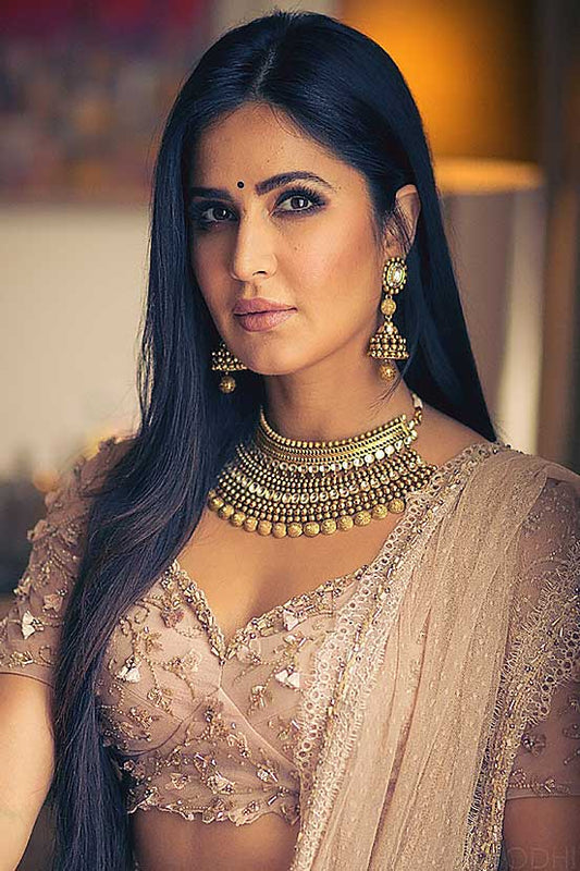 Katrina Kaif in Nude Sheer Back Blouse Lehenga Set