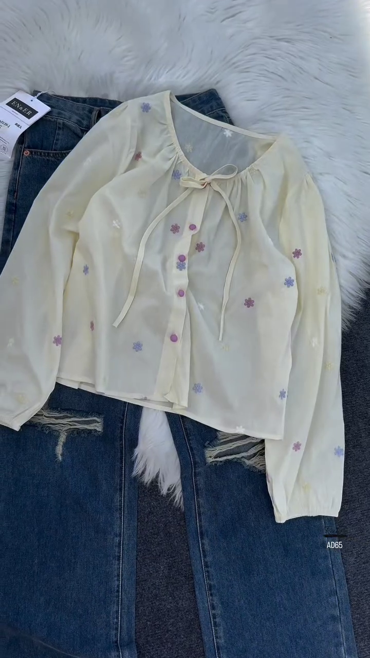 Embroidered Sheer Blouse - Image 3